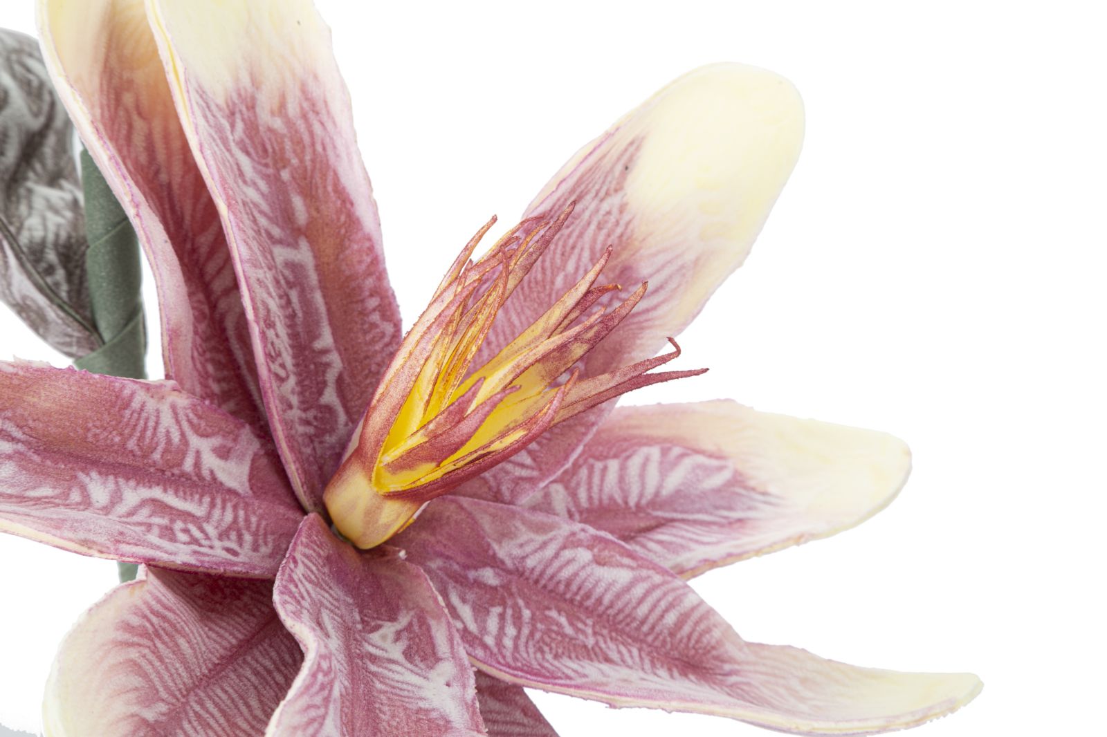 Dekoratívny doplnok Magnolia Purple Mauro Ferretti Ø 25×98 MIN 12 cm