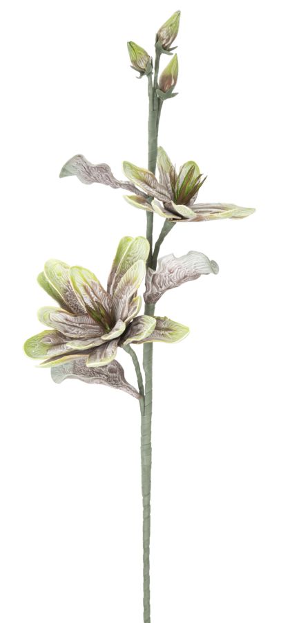 Dekoratívny doplnok Magnolia Verde Mauro Ferretti Ø 25×98 MIN 12 cm
