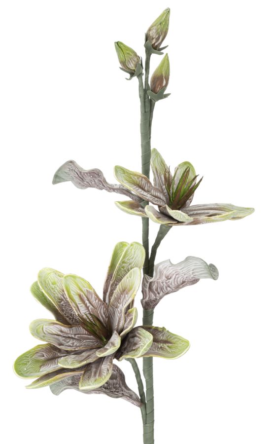 Dekoratívny doplnok Magnolia Verde Mauro Ferretti Ø 25×98 MIN 12 cm