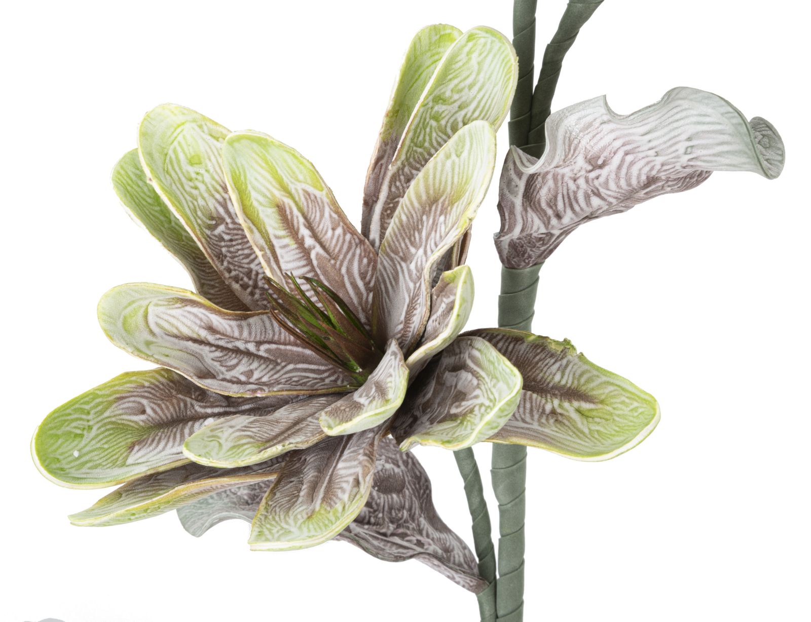 Dekoratívny doplnok Magnolia Verde Mauro Ferretti Ø 25×98 MIN 12 cm