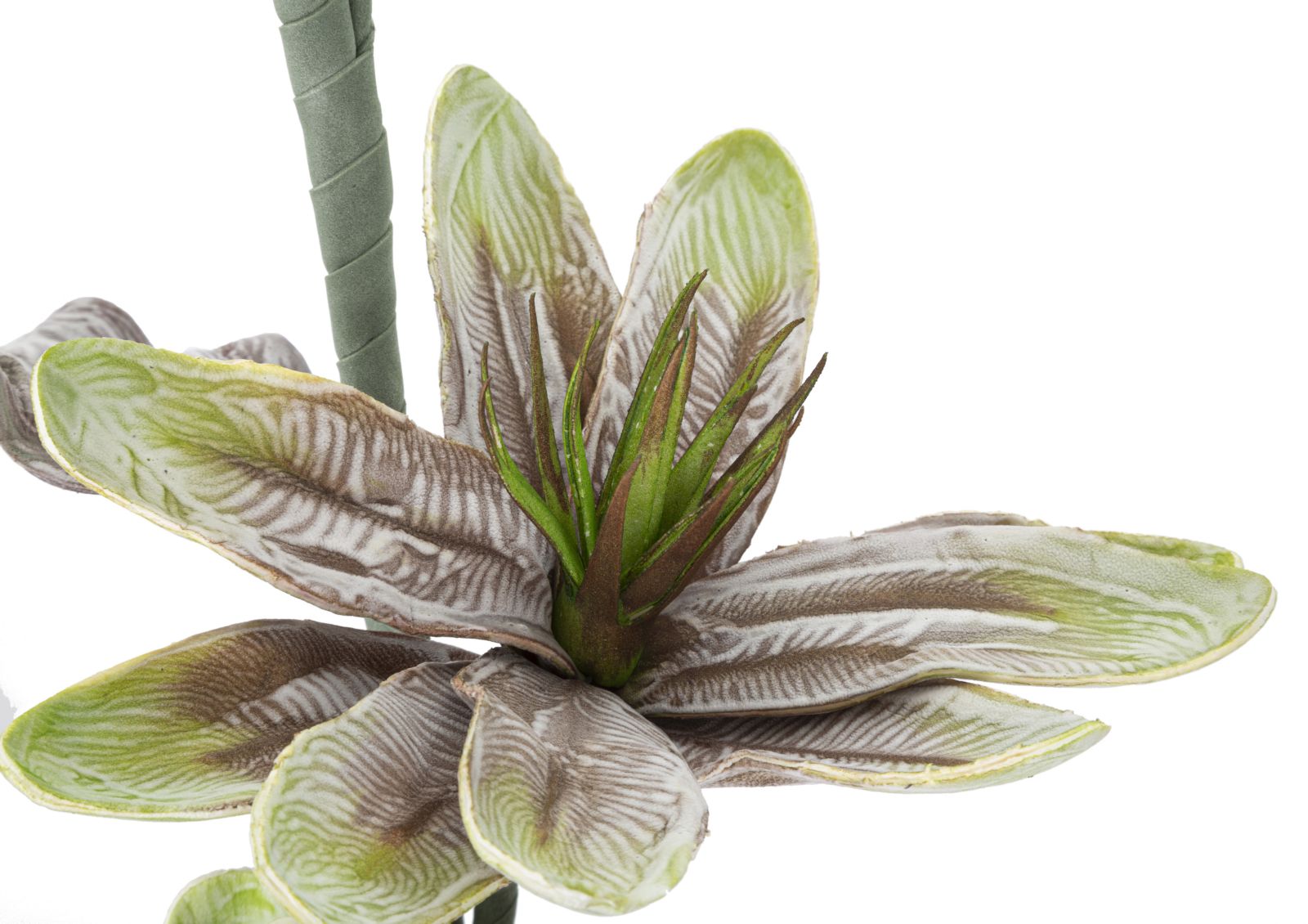 Dekoratívny doplnok Magnolia Verde Mauro Ferretti Ø 25×98 MIN 12 cm
