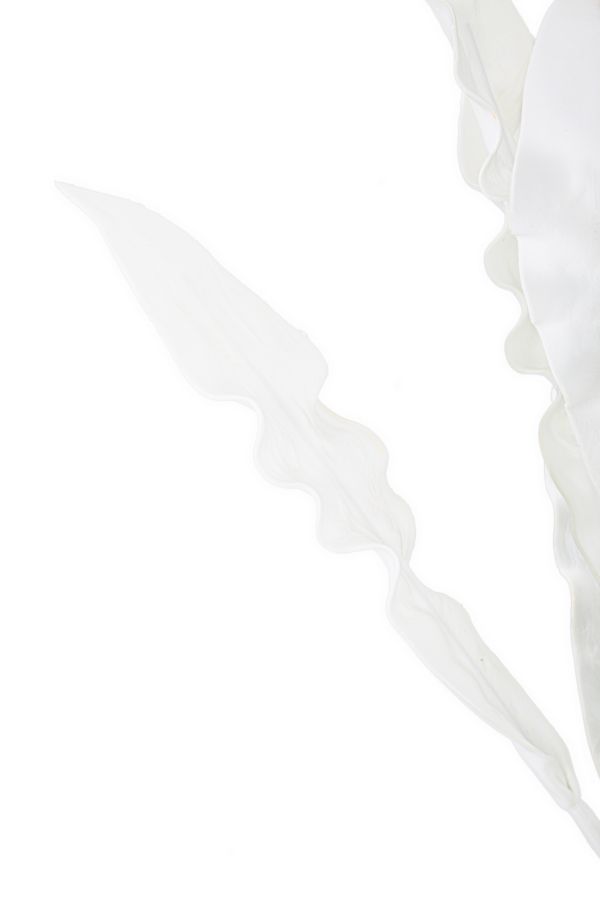 Dekoratívny doplnok Aloe Bianco Mauro Ferretti Ø 30×98 MIN 10 cm