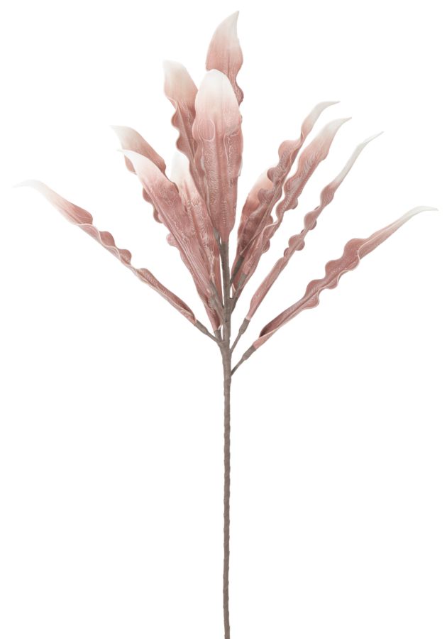 Dekoratívny doplnok Aloe Rosa Mauro Ferretti Ø 30×98 MIN 10 cm