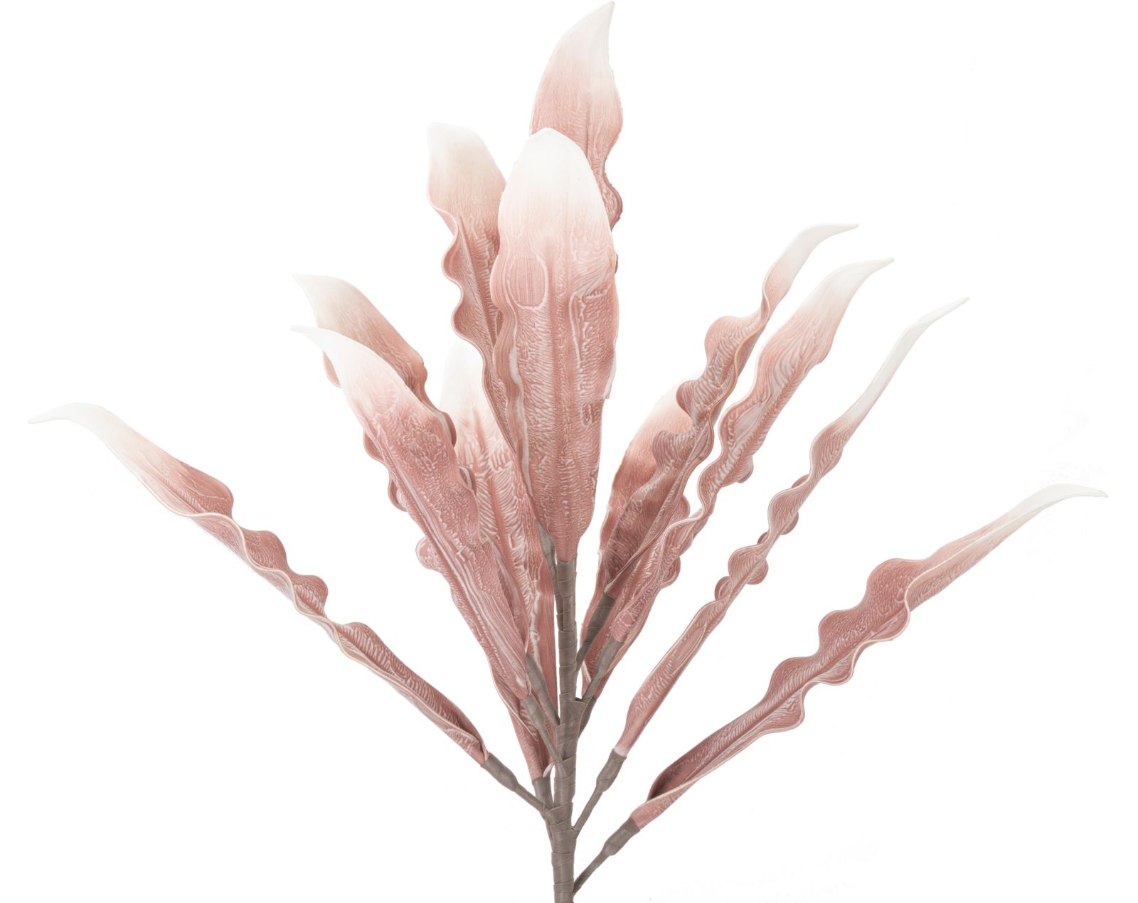 Dekoratívny doplnok Aloe Rosa Mauro Ferretti Ø 30×98 MIN 10 cm