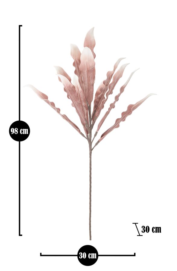 Dekoratívny doplnok Aloe Rosa Mauro Ferretti Ø 30×98 MIN 10 cm