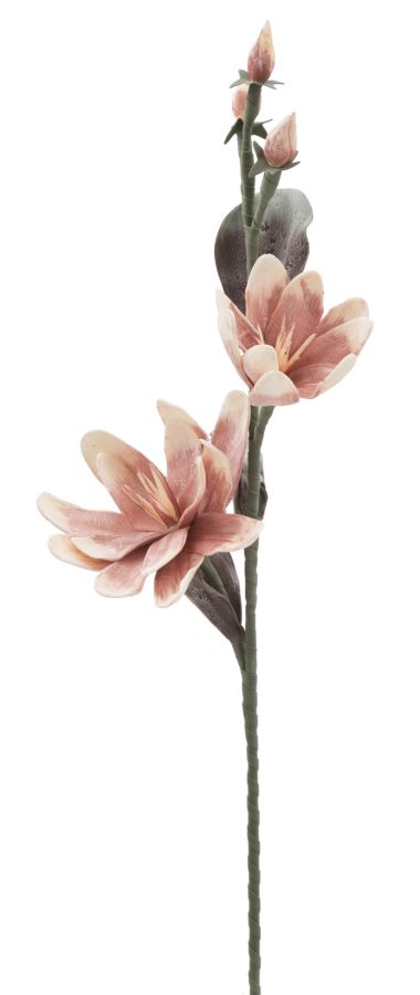 Dekoratívny doplnok Magnolia Arancione Mauro Ferretti Ø 25×98 MIN 12 cm