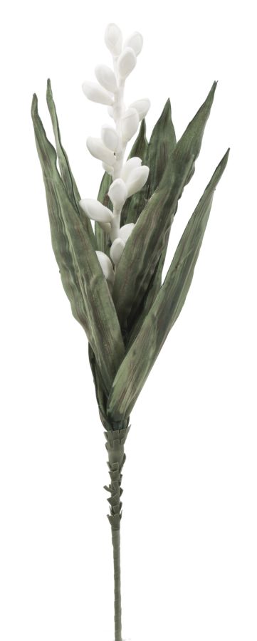 Dekoratívny doplnok Aloe Flower Bianco Mauro Ferretti Ø 23×93 MIN 10 cm