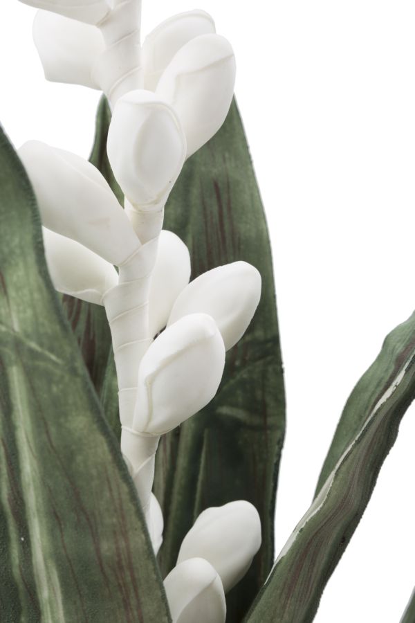 Dekoratívny doplnok Aloe Flower Bianco Mauro Ferretti Ø 23×93 MIN 10 cm