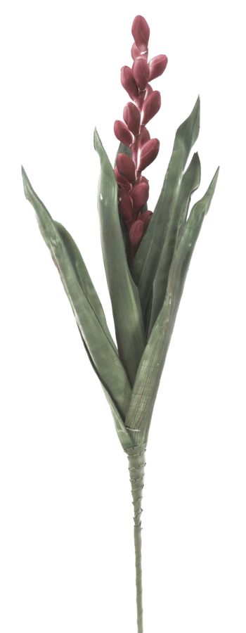Dekoratívny doplnok Aloe Flower Rosa Mauro Ferretti Ø 23×93 MIN 10 cm