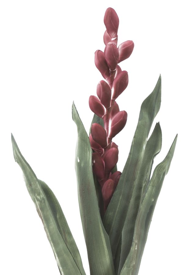 Dekoratívny doplnok Aloe Flower Rosa Mauro Ferretti Ø 23×93 MIN 10 cm
