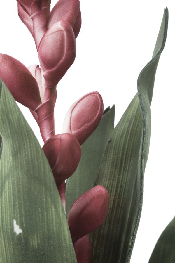 Dekoratívny doplnok Aloe Flower Rosa Mauro Ferretti Ø 23×93 MIN 10 cm