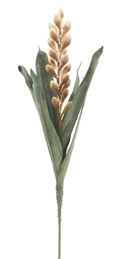 Dekoratívny doplnok Aloe Flower Giallo Mauro Ferretti Ø 23×93 MIN 10 cm