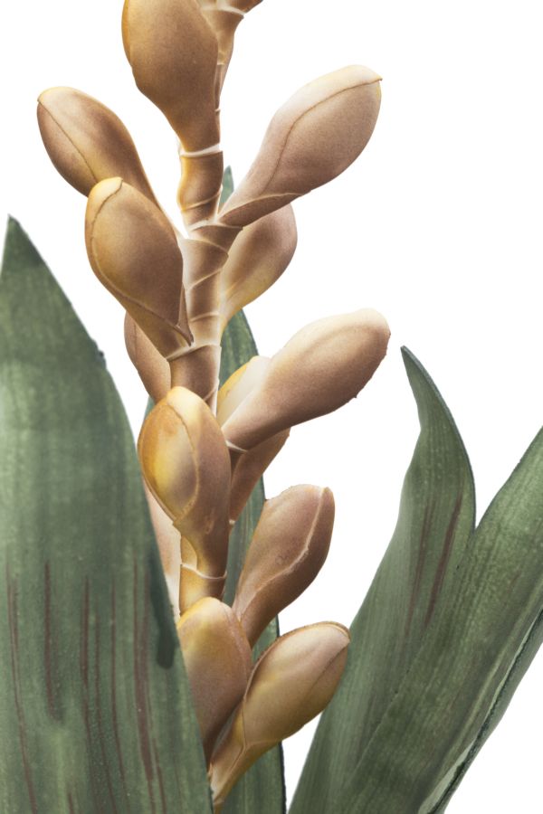 Dekoratívny doplnok Aloe Flower Giallo Mauro Ferretti Ø 23×93 MIN 10 cm