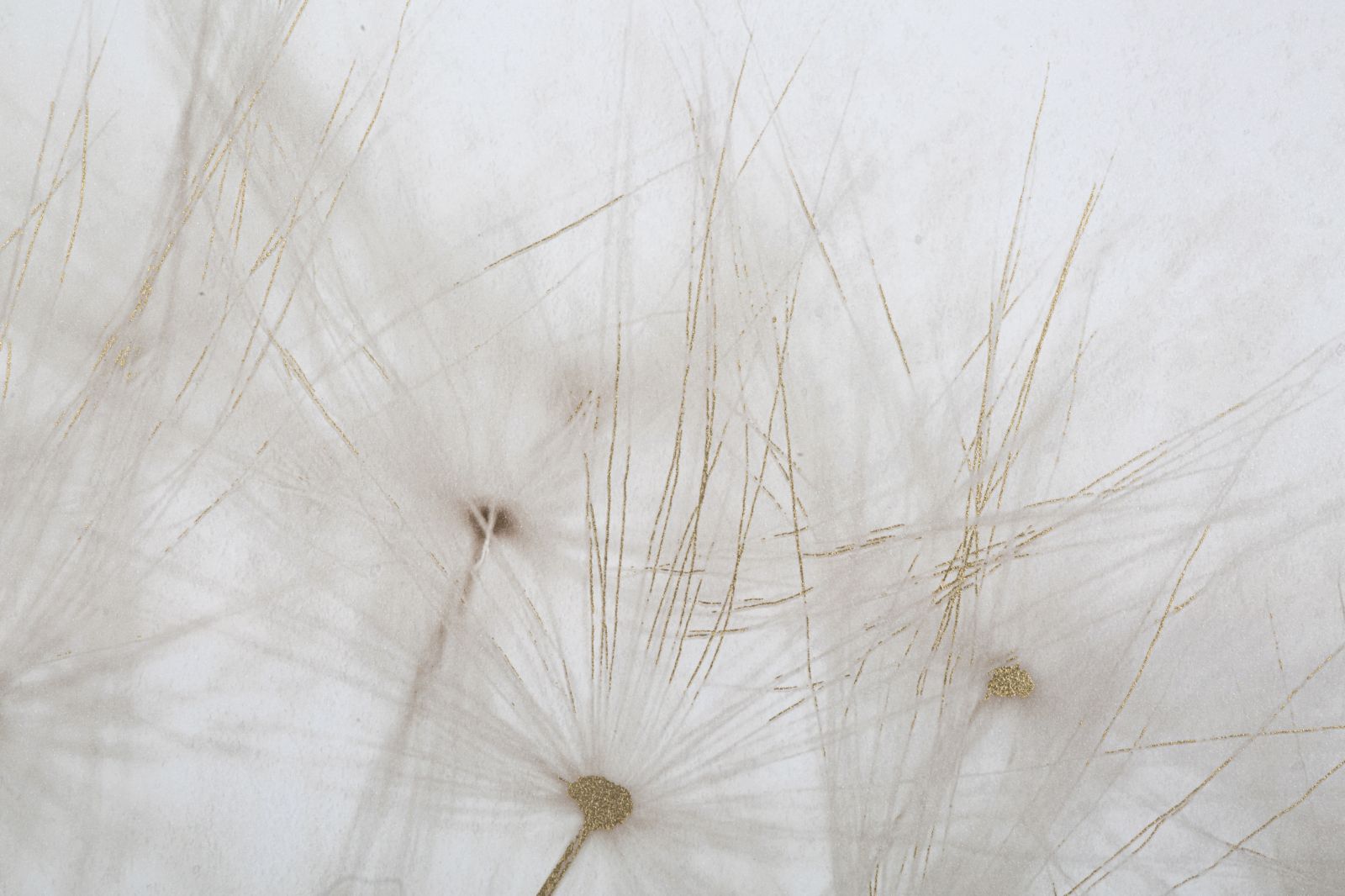 Dekoratívny doplnok Stampa Dipinta Tin Mauro Ferretti 80×3×120 cm