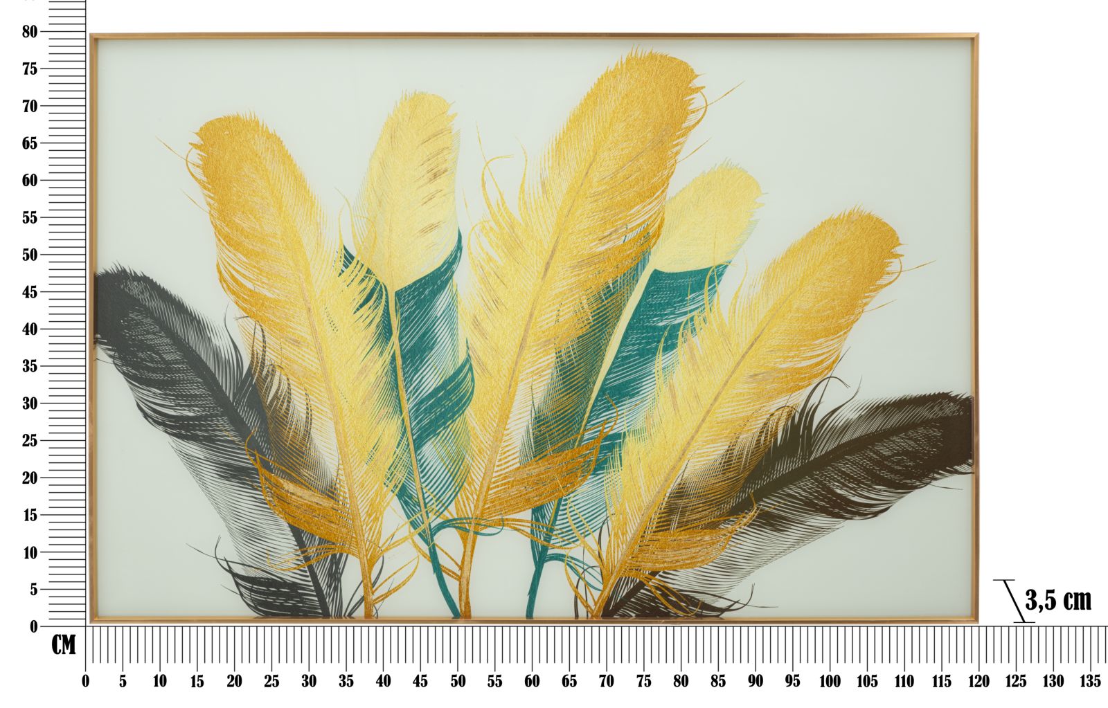 Dekoratívny obraz C Cornice Feathers Mauro Ferretti 120×3,5×80 cm
