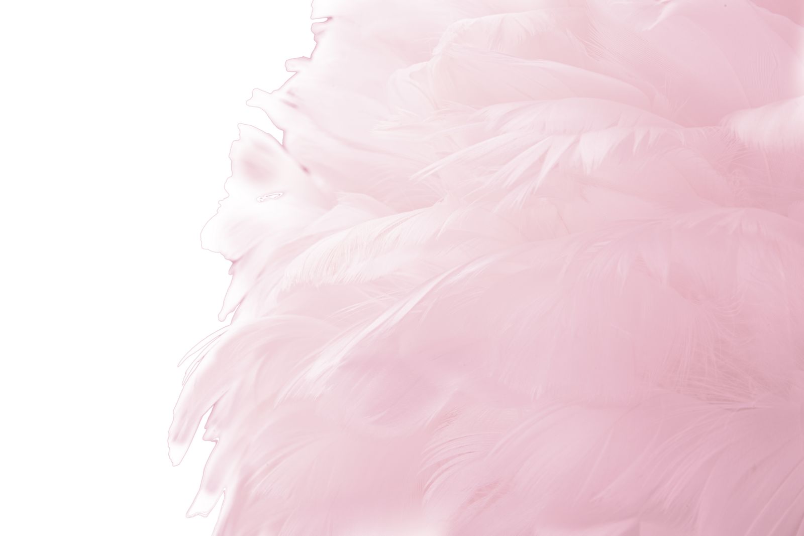 Stojanová lampa Slim Rosa Mauro Ferretti, ružová/zlatá