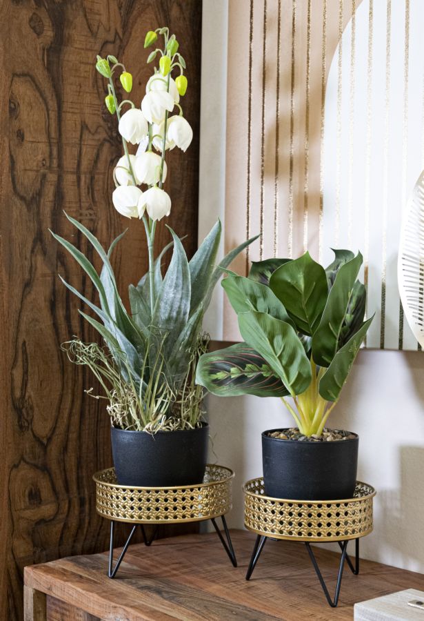 Dekoratívne vázy 2ks P Bossy Mauro Ferretti, zlatá/čierna