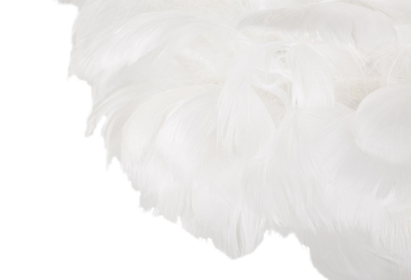 Stojanová lampa Feathers Slim Bianca Mauro Ferretti, biela/zlatá