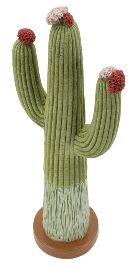 Dekoratívny doplnok Cactus Mauro Ferretti 16,5×11×45 cm