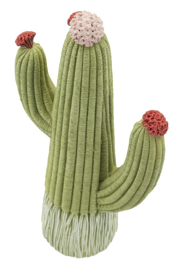 Dekoratívny doplnok Cactus Mauro Ferretti 13×7×25 MIN 2 cm