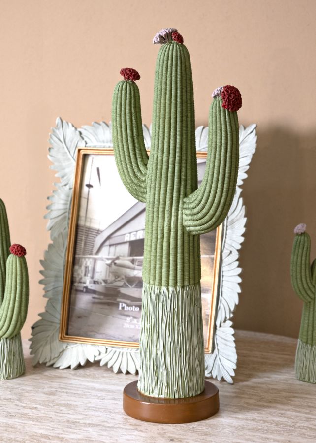 Dekoratívny doplnok Cactus Mauro Ferretti 16,5×11×45 cm