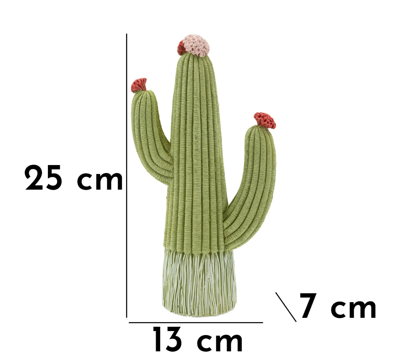 Dekoratívny doplnok Cactus Mauro Ferretti 13×7×25 MIN 2 cm