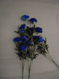 CORNFLOWER X 5 W/2 BUDS CM 70 MIN 48