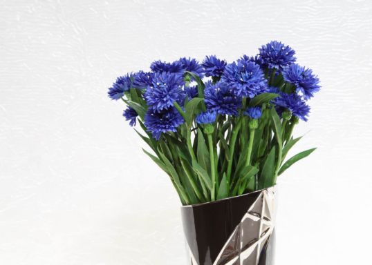 FIORDALISO 21,5''.2FG,1BUD BLUE 701 CM.. MIN 24