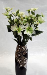 CLEMATIS SPRAY 01218 MIN 24 CM 75