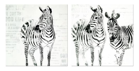 DIPINTO SU TELA ZEBRA CM 80X80 MIN 2 ASS