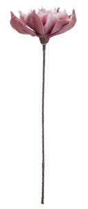 LARGE SINGLE LOTUS ROSA Ø CM 27X86 MIN 6